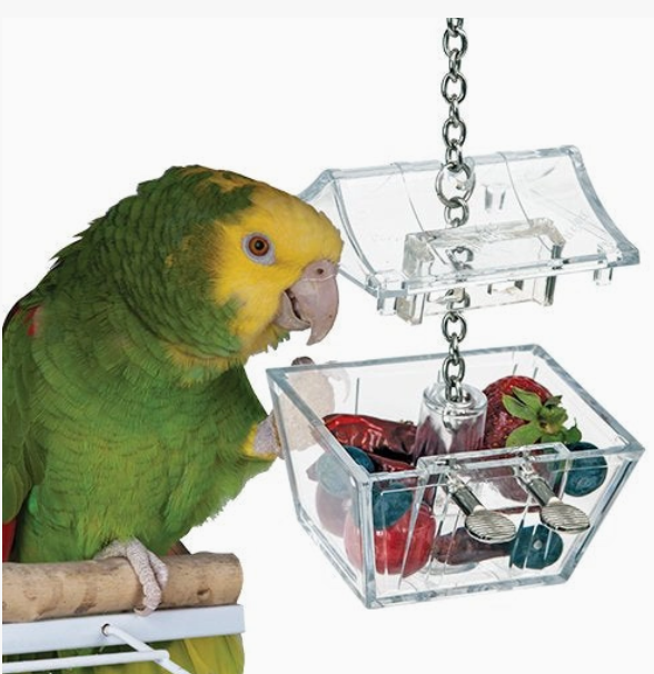 Parrot's Treasure Bird Toy